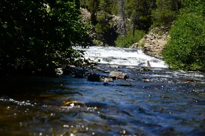 DSC_9917 (Large).JPG